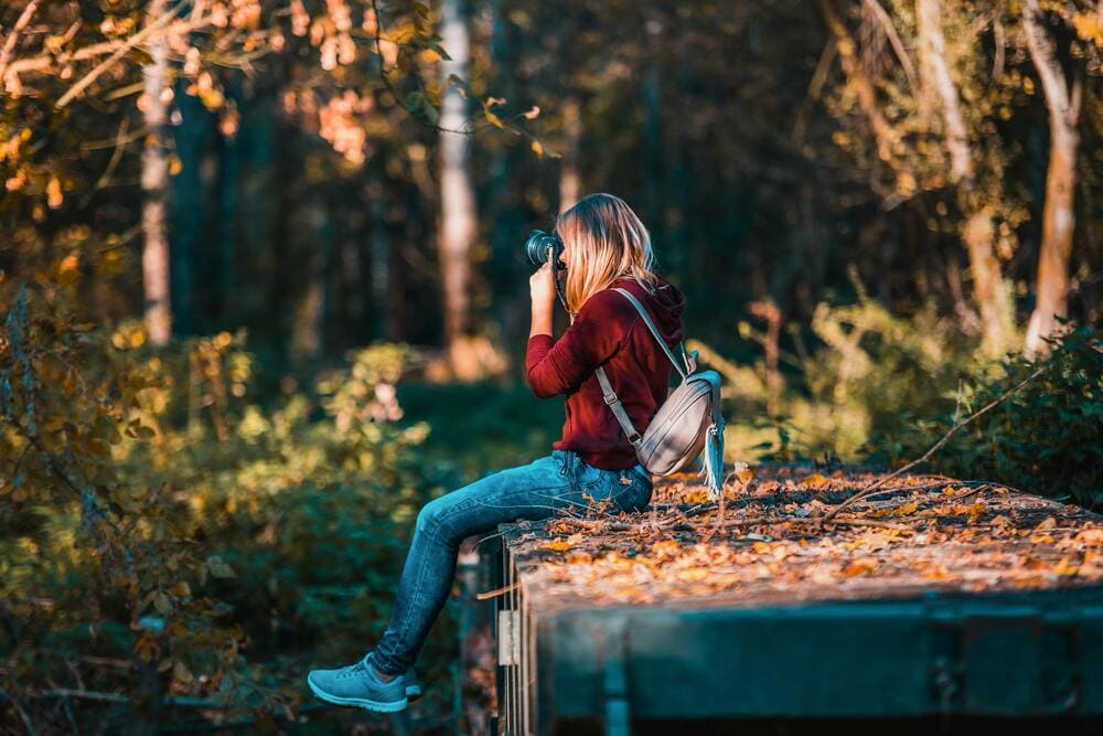 Secretele Fotografiei de Natură: Cum Să Surprinzi Frumusețea Sălbatică 1 Natura blog 1