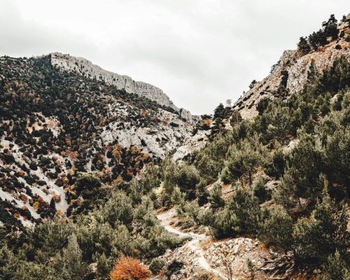 lunaris photography - natura